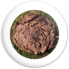 Design 666618 Disc Golf and Ultimate Discs Image