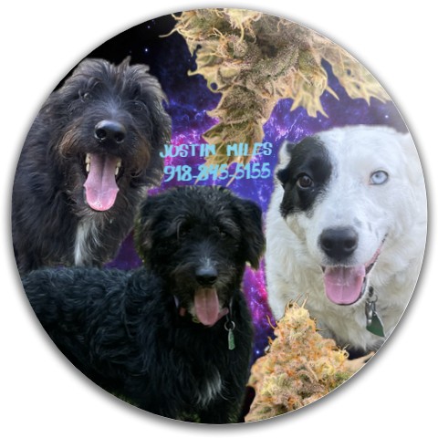 Design 668293 Disc Golf and Ultimate Discs