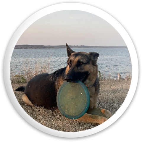 Design 669815 Disc Golf and Ultimate Discs