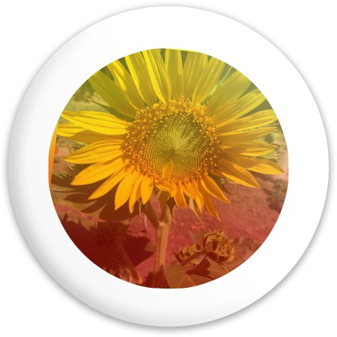 Design 670850 Disc Golf and Ultimate Discs