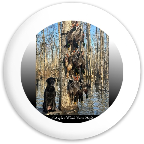 Design 674618 Disc Golf and Ultimate Discs