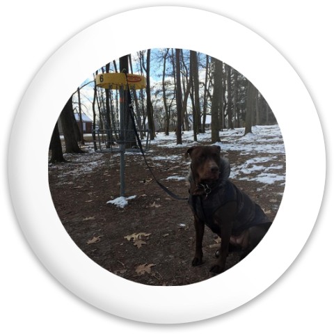 Design 674917 Disc Golf and Ultimate Discs