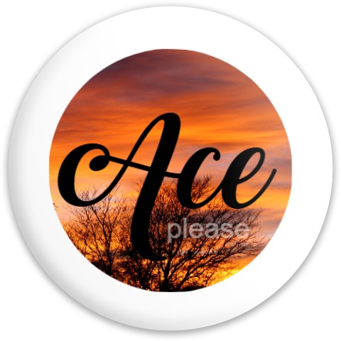 Design 677819 Disc Golf and Ultimate Discs