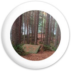 Design 680989 Disc Golf and Ultimate Discs Image