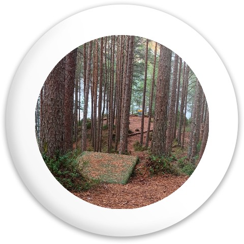 Design 680989 Disc Golf and Ultimate Discs