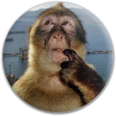 Design 683173 Disc Golf and Ultimate Discs Image