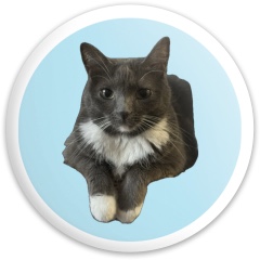 Design 683198 Disc Golf and Ultimate Discs Image