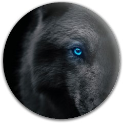 Design 683324 Disc Golf and Ultimate Discs Image