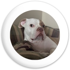 Design 683339 Disc Golf and Ultimate Discs Image