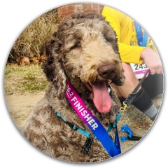 Design 683896 Disc Golf and Ultimate Discs Image