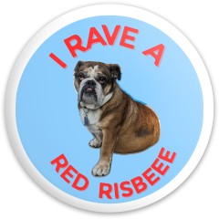 Design 684431 Disc Golf and Ultimate Discs Image