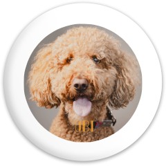 Design 684849 Disc Golf and Ultimate Discs Image