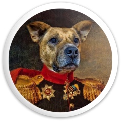 Design 684947 Disc Golf and Ultimate Discs Image