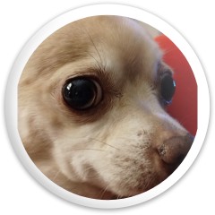 Design 684987 Disc Golf and Ultimate Discs Image