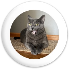 Design 685194 Disc Golf and Ultimate Discs Image