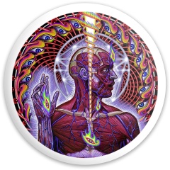 Design 685823 Disc Golf and Ultimate Discs Image