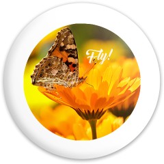 Design 688811 Disc Golf and Ultimate Discs Image