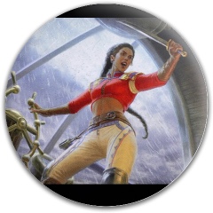 Design 689476 Disc Golf and Ultimate Discs Image