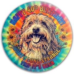 Design 690071 Disc Golf and Ultimate Discs Image