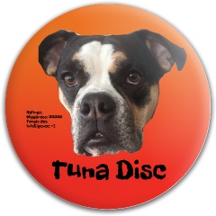 Design 690648 Disc Golf and Ultimate Discs Image