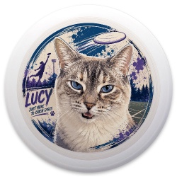 Design 690988 Disc Golf and Ultimate Discs Image