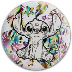 Design 691134 Disc Golf and Ultimate Discs Image