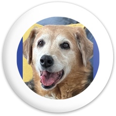Design 691805 Disc Golf and Ultimate Discs Image