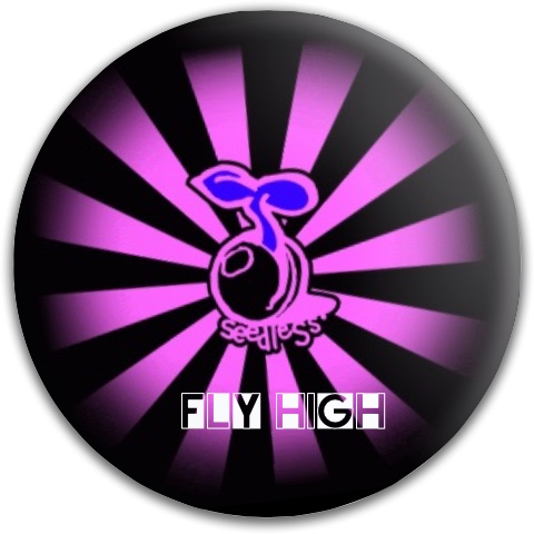 Design 78977 Disc Golf and Ultimate Discs