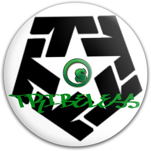 Design 86039 Disc Golf and Ultimate Discs