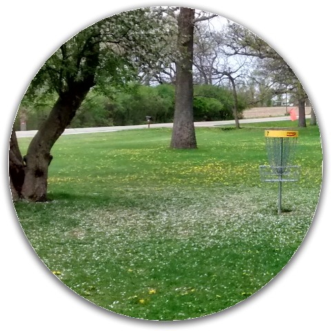 Design 95600 Disc Golf and Ultimate Discs
