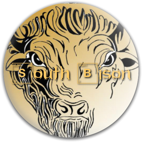 Design 29485 Disc Golf and Ultimate Discs