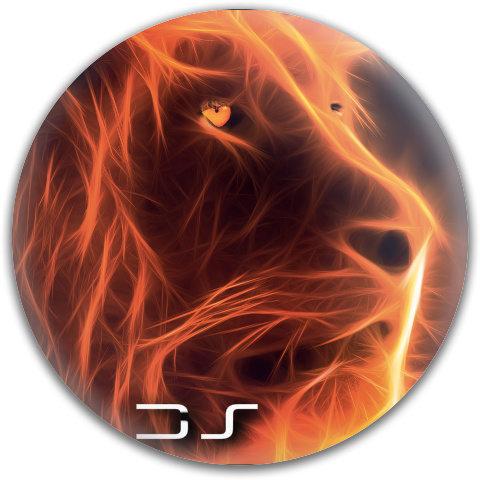 Design 33382 Disc Golf and Ultimate Discs
