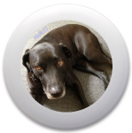 Design 36102 Disc Golf and Ultimate Discs Image