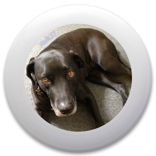 Design 36102 Disc Golf and Ultimate Discs
