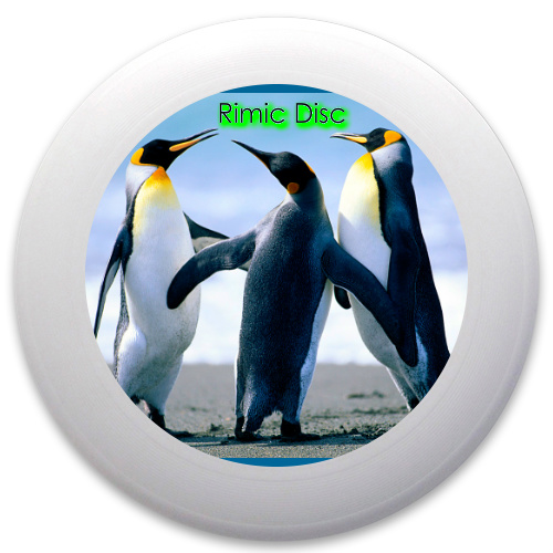 Design 36908 Disc Golf and Ultimate Discs