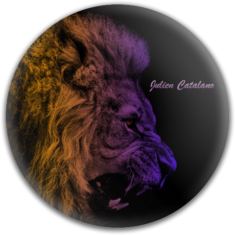 Design 31283 Disc Golf and Ultimate Discs