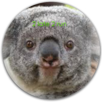 Design 31723 Disc Golf and Ultimate Discs Image