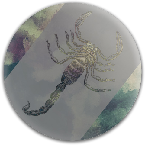 Design 32629 Disc Golf and Ultimate Discs