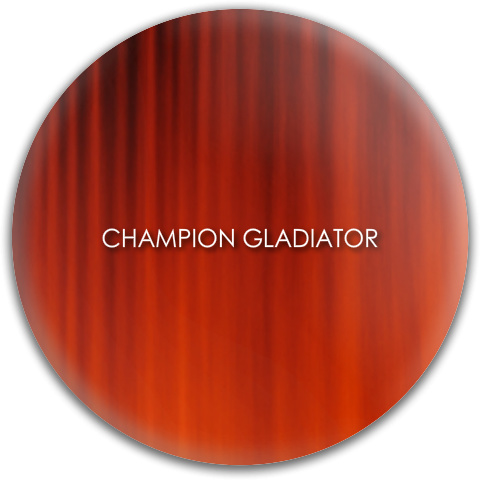 Design 43350 Disc Golf and Ultimate Discs