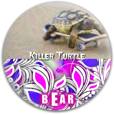 Design 44097 Disc Golf and Ultimate Discs