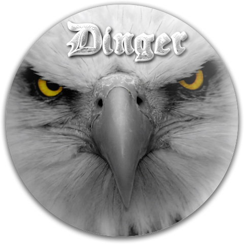 Design 44320 Disc Golf and Ultimate Discs