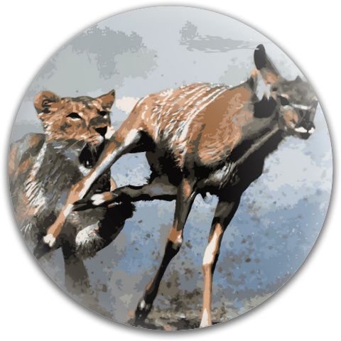 Design 44165 Disc Golf and Ultimate Discs