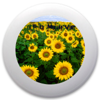 Design 45449 Disc Golf and Ultimate Discs Image