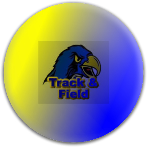 Design 45694 Disc Golf and Ultimate Discs