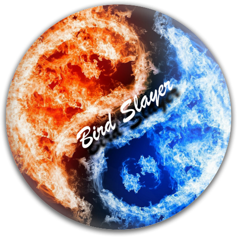 Design 46751 Disc Golf and Ultimate Discs