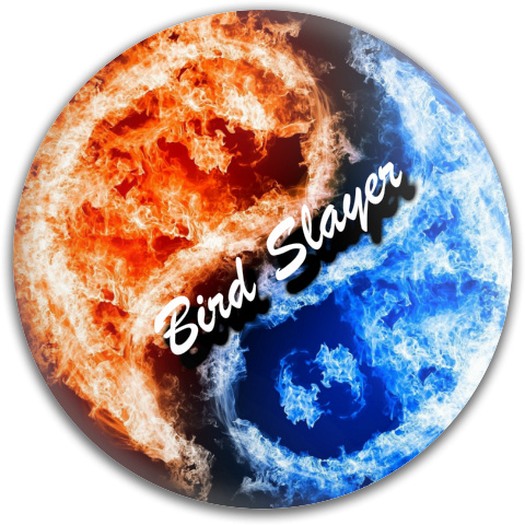Design 46942 Disc Golf and Ultimate Discs