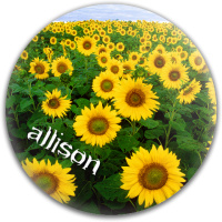 Design 13511 Disc Golf and Ultimate Discs Image