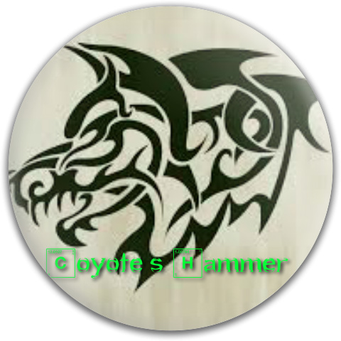 Design 53122 Disc Golf and Ultimate Discs