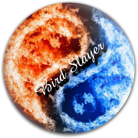 Design 48980 Disc Golf and Ultimate Discs