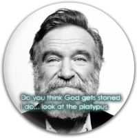 Robin Williams